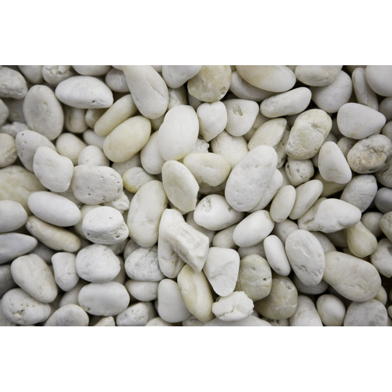 Pebble - Wrapped Canvas Print, 30cm H x 46cm W x 3.8cm D