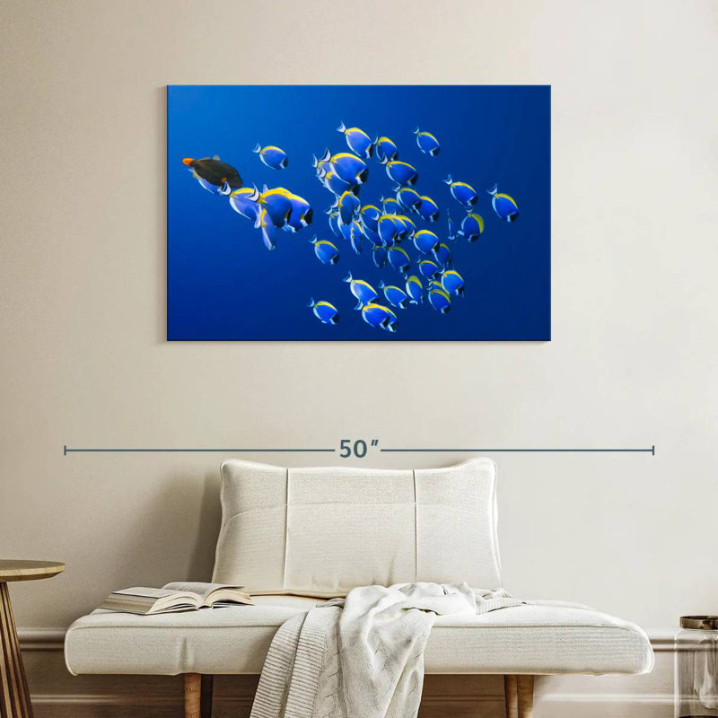Brampt Underwater Blue Tangs, 26" H x 39" W