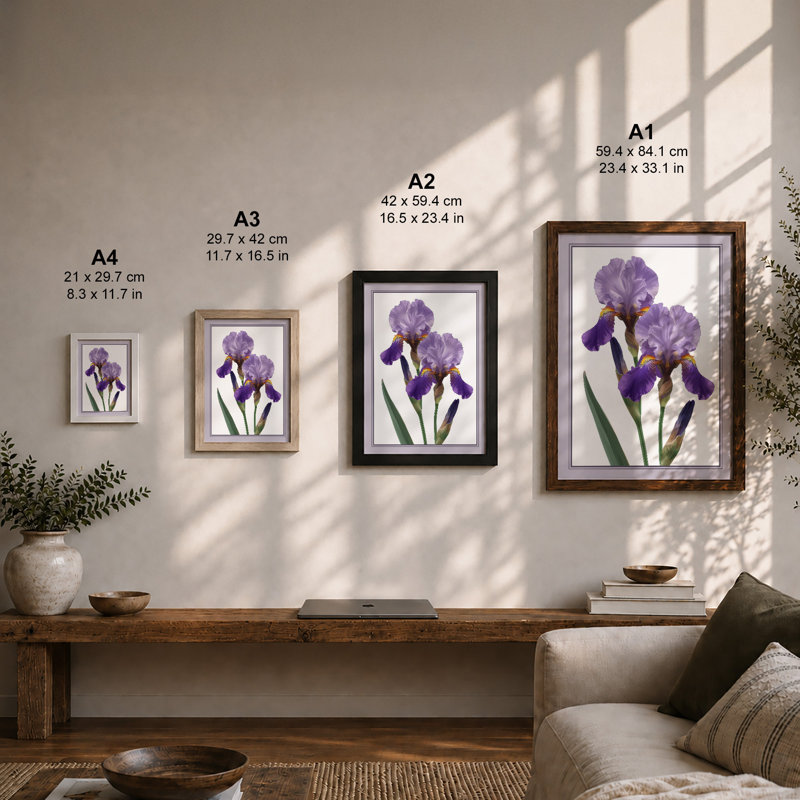 Twin Irises Botanical - Framed Print, A1 - 84.1 x 59.4 cm, Black