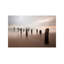 Beyond Measure 1 Piece Wrapped Canvas Wall Art-50018675