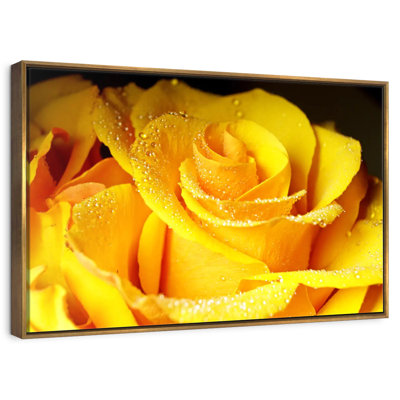 Dewy Yellow Rose