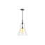 Simplice 14 In. Pendant-1049205380-1049205389