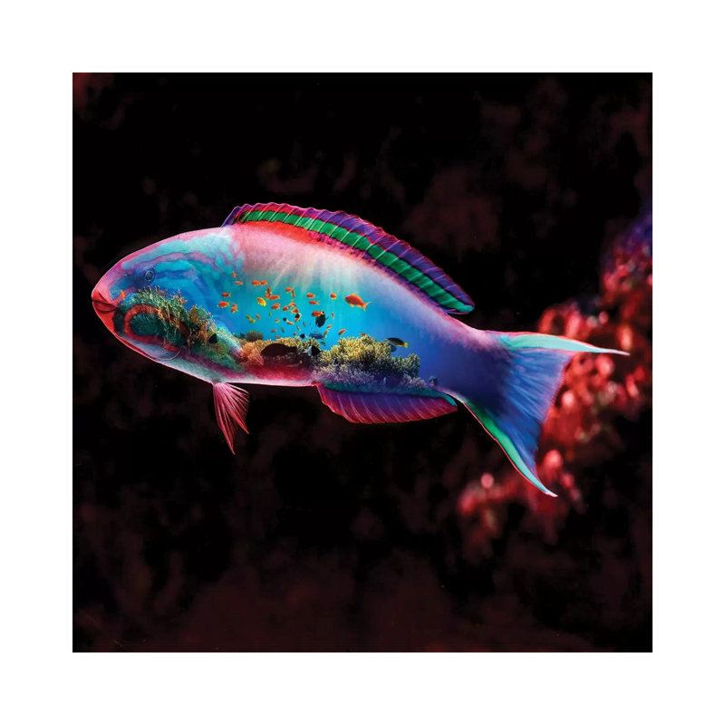 Fish by Paul Haag - Print on Canvas, Wrapped Canvas, 66.04 cm H x 66.04 cm W x 1.91 cm D