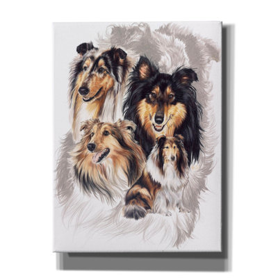 Kenadie " Collie " by Barbara Keith