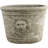 Lynda Pot Planter-659917633