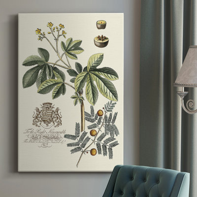 " Imperial Foliage I "