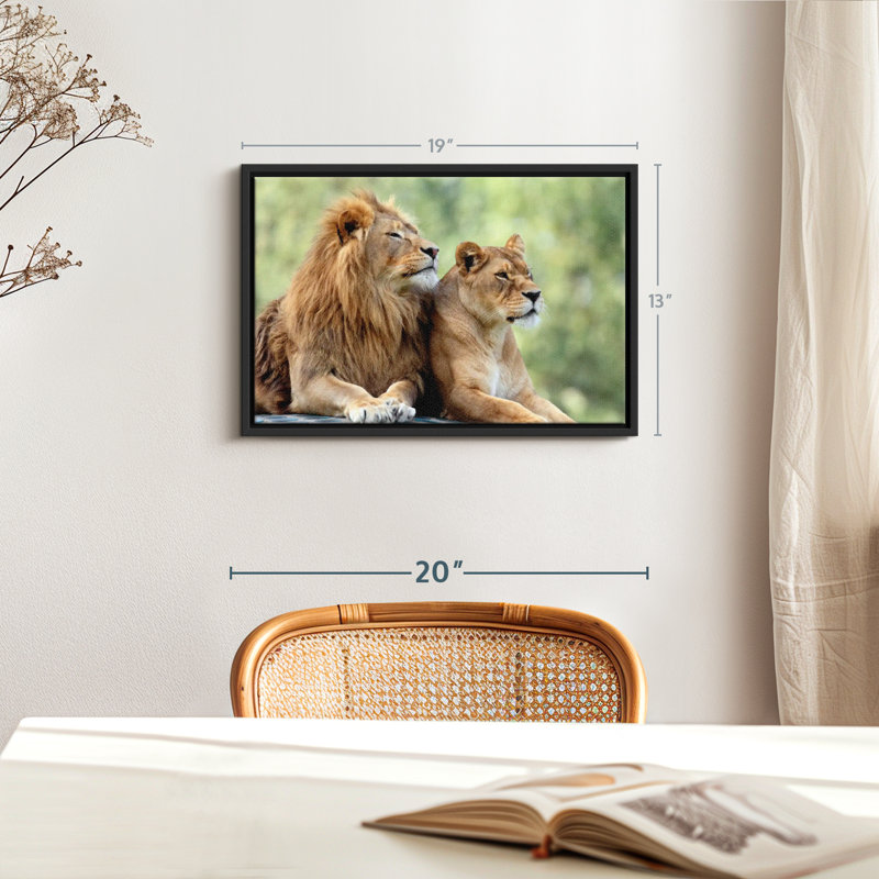 Animal «Couple de lion, art mural», H 13 po x l 19 po