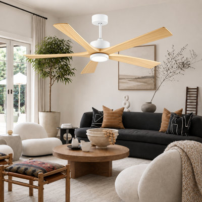 Ventilateur de plafond 60 pouces avec lumière