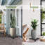 Support pour plante Stelu-2019839356-2019839359