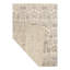 Oriental Area Rug in Gray