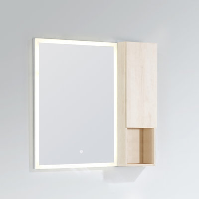 Elaris 9" Wall-Mounted Bathroom Cabinet