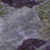 Premium Machine Washable Cerrito AMF555 Purple Rug