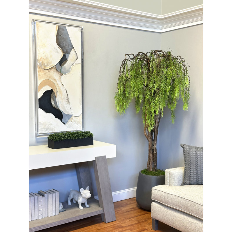 Outdoor UV Rated Boxwood in Fiberstone Planter