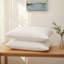 Oreillers en plumes d'oie, 100% coton, coussins de lit à support moyen pour dormir (ensemble de 2)-946291077-1054816771