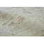 Lynn - Ivory-68764163