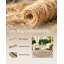 Jute / Sisal Rug-642729656