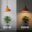 1 - Light Orange Dome Pendant