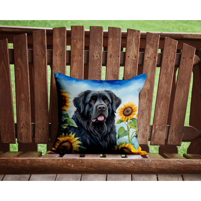 Other/No Pattern Outdoor Throw Pillow, 14" H x 14" W