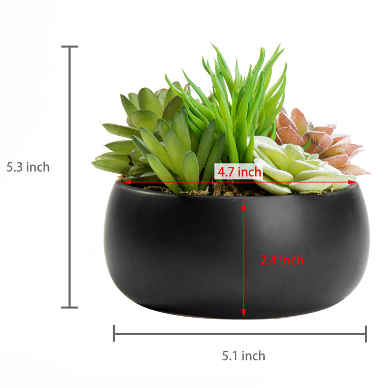 13.5cm Faux Succulent Plant in Ceramic Pot