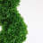 Faux Boxwood Topiary in Pot-66642382