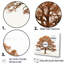 «Brown Oaks Outline II», ensemble d'art sur toile de chêne-672357860-672357867