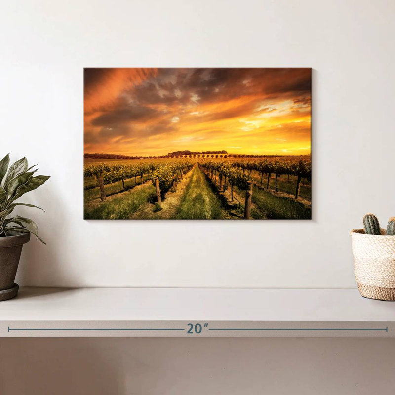 Alvord Barossa Valley Vineyard