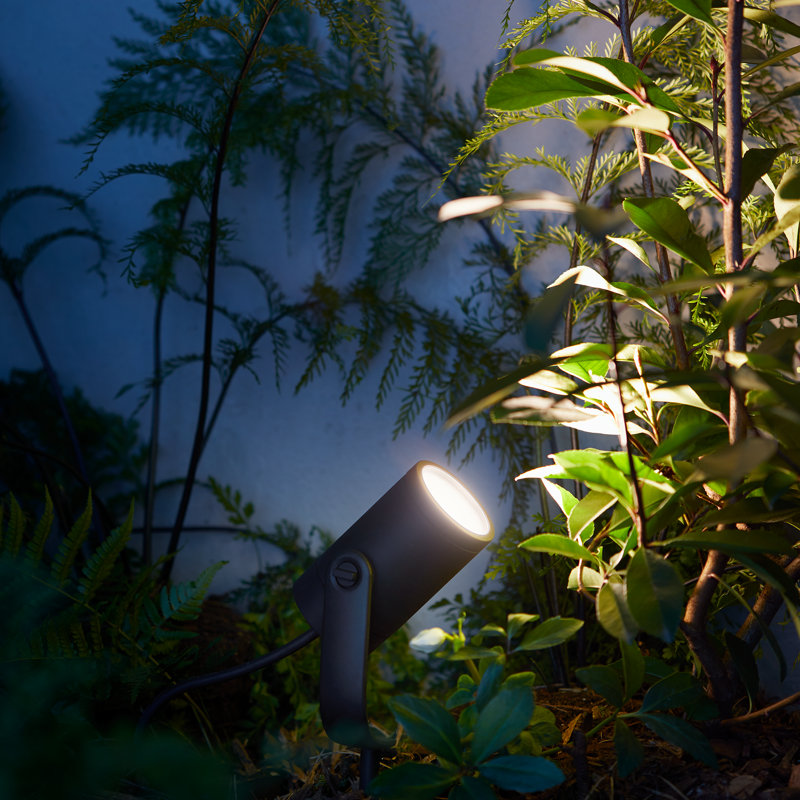 Projecteur d'extérieur Philips Hue Lily