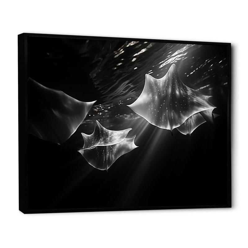 Under Water Abstract Manta Dance sur toile, H 24 po x l 32 po x P 1 po, Cadre flottant noir