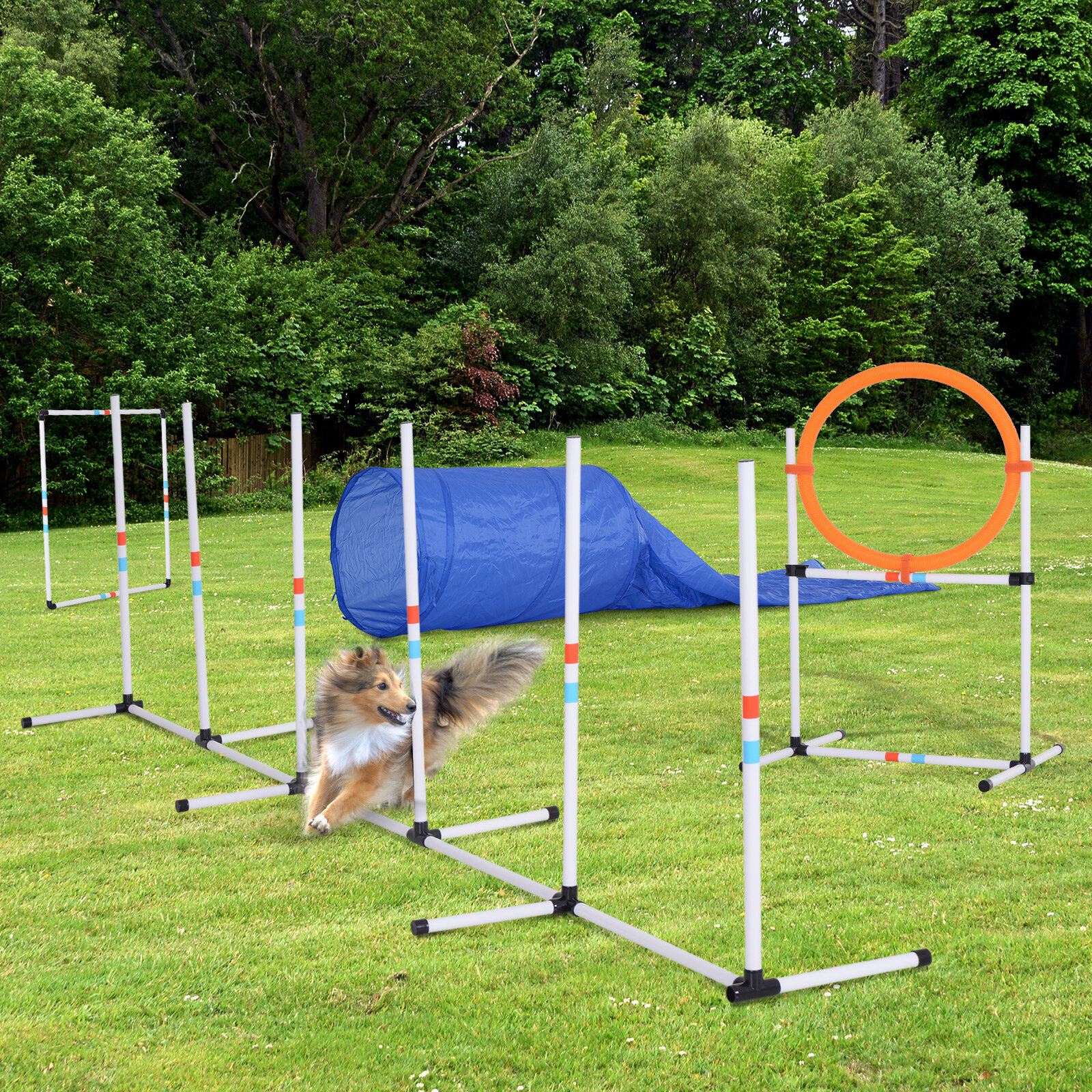 Tucker Murphy Pet™ Cherlyl Dog Agility Hurdle Cone Set, Portable