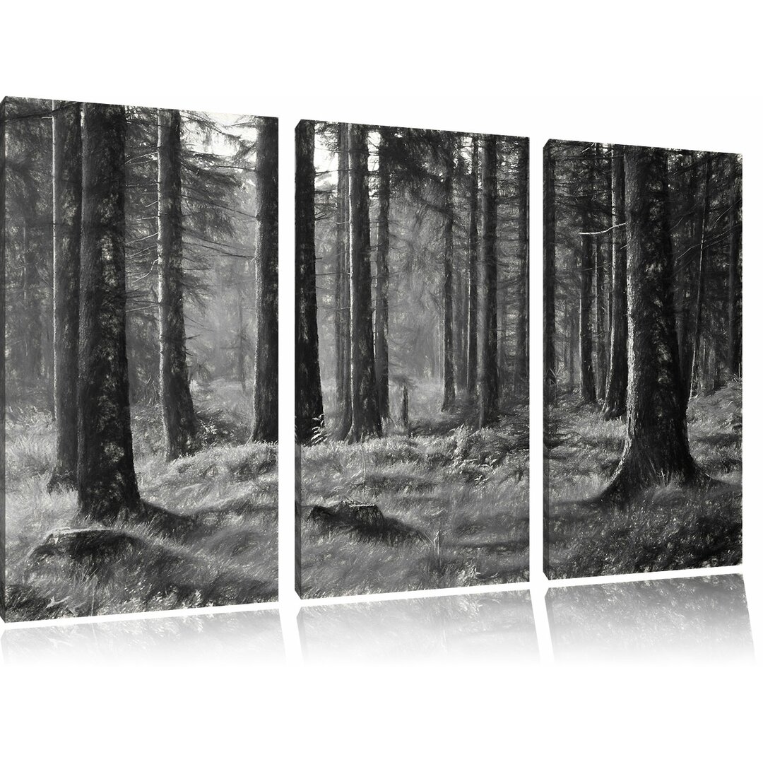 3-tlg. Leinwandbild-Set „Sonniger Tag im Wald“, Kunstdruck