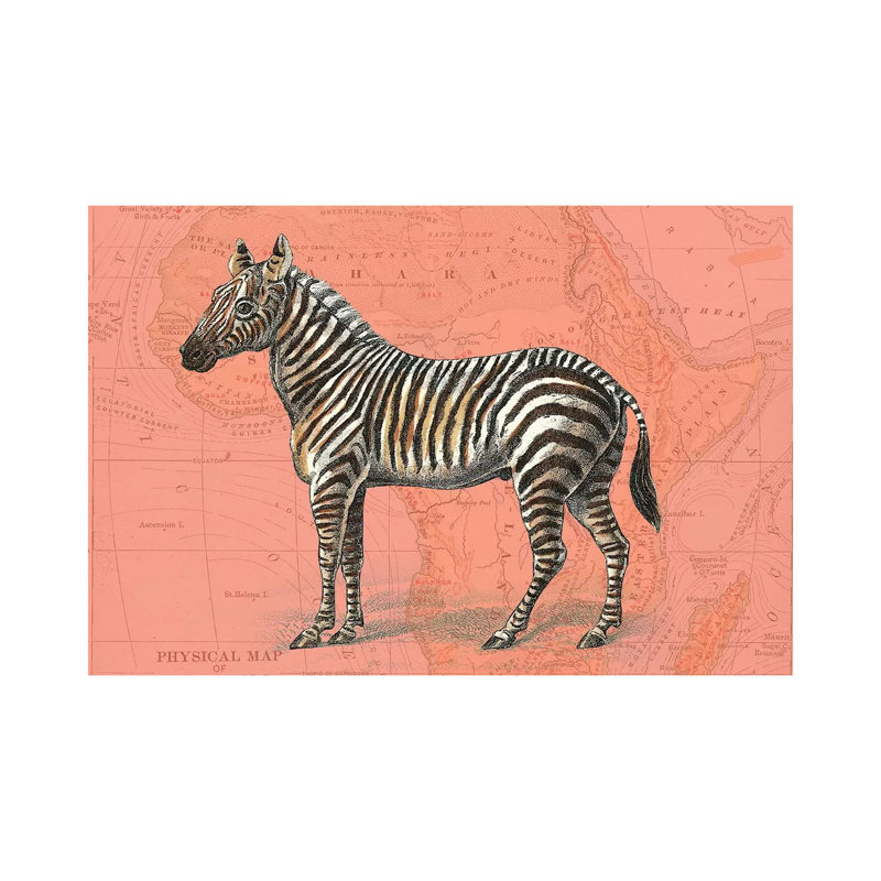 African Animals on Coral IV 1 Piece Wall Art on Canvas, 30.48 cm H x 45.72 cm W, Canvas