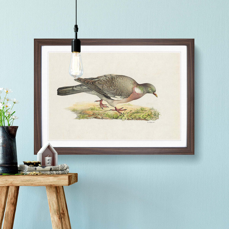 Common Wood Pigeon by Von Wright - Picture Frame Painting Print on MDF, Walnut Framed, 36cm H x 48cm W x 2cm D