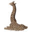 Bébé girafe allongée