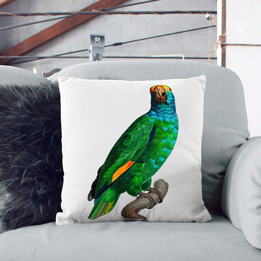 Blue-Cheeked Amazon Parrot by F. Levaillant Cushion with Filling