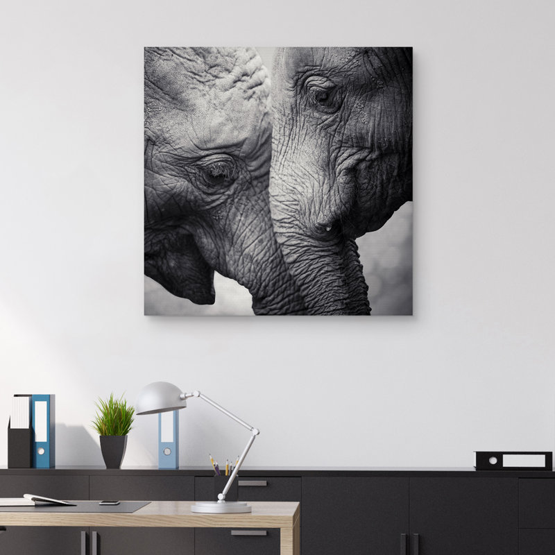 «Nose to Nose», impression sur toile tendue