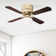 Shera 42'' Ceiling Fan with Light Kit