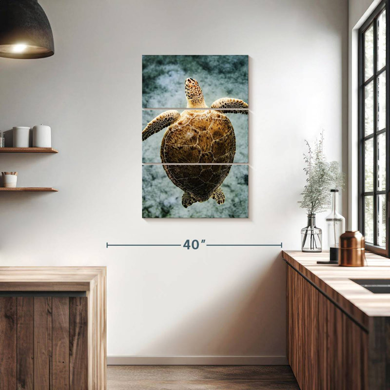 Brampt Virgin Islands Turtle, 38" H x 24" W
