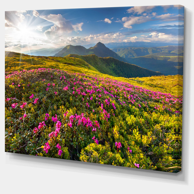 «Summer Day Rhododendron Flowers», reproduction de photo sur toile tendue, H 28 po x l 60 po x P 1,5 po
