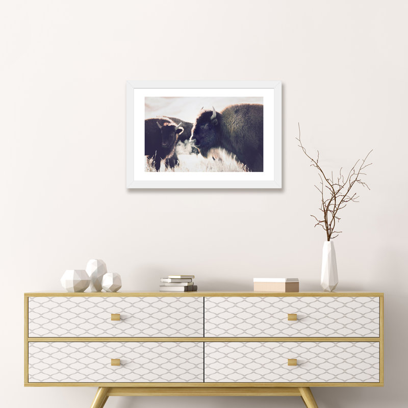Photographie buffalo, H 24 po x l 32 po x P 1 po, Papier avec cadre blanc