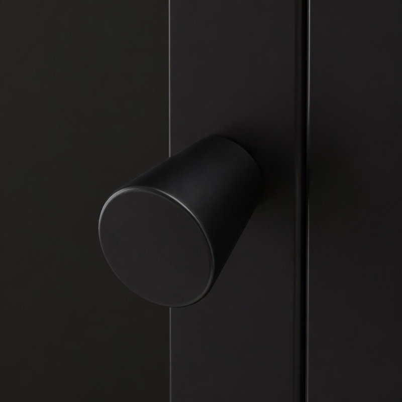 Armoire de rangement murale à quatre portes en verre avec installation facile et peu encombrante, Noir