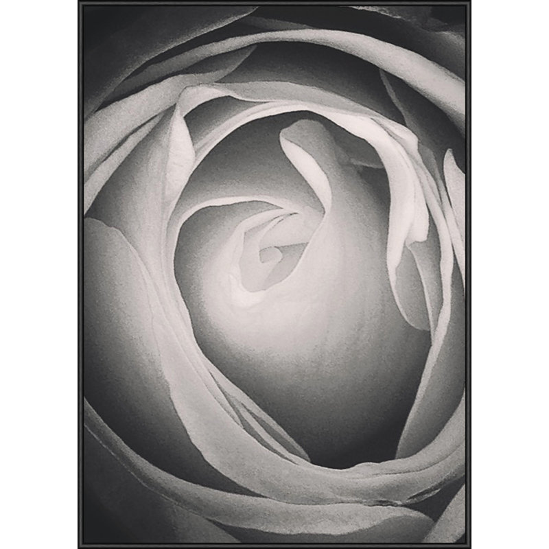 Nicole Gadiel - Single Picture Frame Print