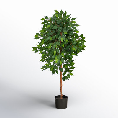 Artificial Ficus Tree in Planter
