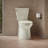 Betello 1.28 GPF (Water Efficient) Elongated Two-Piece Toilet (Seat Not Included)-39779928-44387724