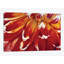 « redony », impression sur toile-29483487-73651799-73651805