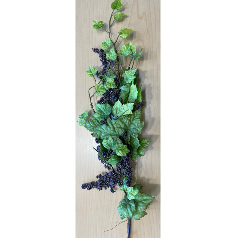 Tiges de plantes à graines, Mauve