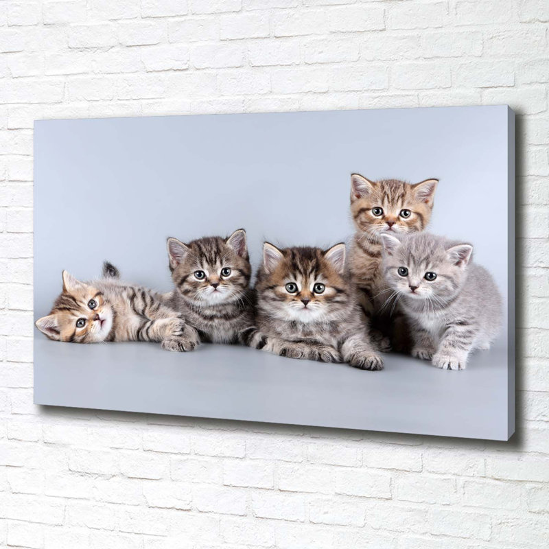 Five Cats - No Frame Print on Canvas