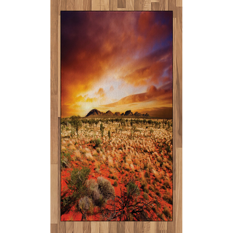 Desert High Density Long Fiber Poly Threads Decorative Area Rug Carpet, Rectangle 2'7" x 5'