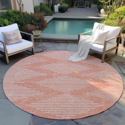 Machine Washable Indoor/Outdoor Chayden ACN1016 Rug
