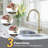 Pull Down Single Handle Kitchen Faucet with 3-Modes Advanced Spray-82373882