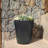 Ebern Designs Eco-friendly Round Pot Planter, Cozumel. Indoor/outdoor Use, Four Season Use-268359608-268359604